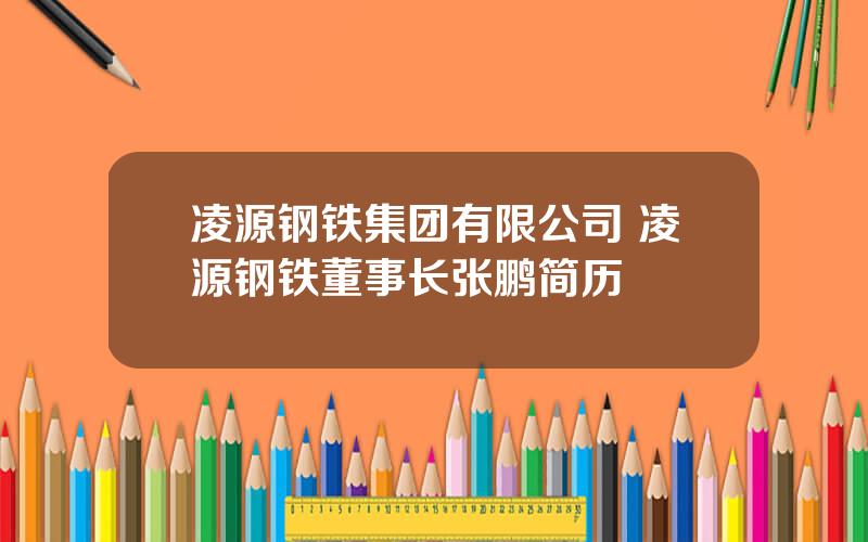 凌源钢铁集团有限公司 凌源钢铁董事长张鹏简历